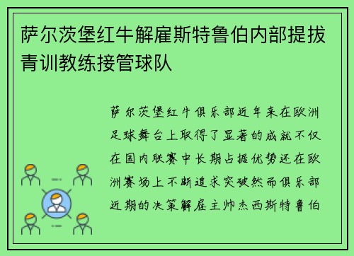 萨尔茨堡红牛解雇斯特鲁伯内部提拔青训教练接管球队